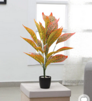 Pepperfry What The Fry Deals : Upto 86% Off on Crystal Tortoise, Artificial Plant & more