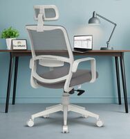 Da URBAN® Dysen Office Chair, High Back Mesh Ergonomic Home Office Desk Chair (Grey) Apply 3% coupon