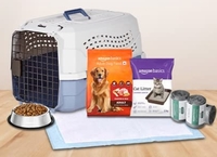 [Live Now] Amazon Basics Brand Days  Min 50% Discount[22 - 23 august] 