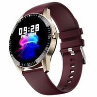Fire-Boltt Talk Bluetooth Calling Smartwatch, 1.39" TFT Display with Dual Button, Hands On Voice Assistance, 120 Sports Modes, in Built Mic & Speaker (Talk, Wine)