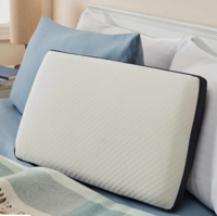 Dwell Pain Relief 21 x 14 Inch Memory Foam Pillow