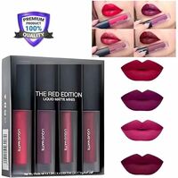 Rastic Non Transfer Waterproof Long last Sensational Liquid Matte Mini Lipsticks (Red, 16 ml)