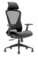 DeckUp Athena High Back Executive Mesh Office Chair (Black, BIFMA Certified,3 Years Warranty)