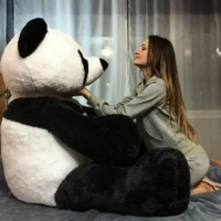 Up To 81% Off on Soft Toys 