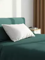 Maxnap Sleep Support Pillow - Buy Maxnap Sleep Support Pillow online in India