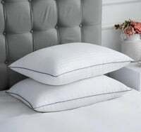 pillow set of 2 