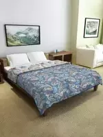 Up to 78% Off on Cortina 