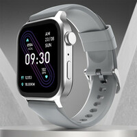 Fire-Boltt Rise Bluetooth Calling 47mm (1.85), Metal Bod & Rotating Crown, 123 Sports Smartwatch  (Grey Strap, Free Size)