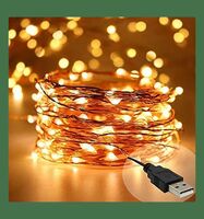 desidiya copper fairy string light USB  powered -5m -location specific 