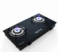 Lifelong 2 Burner Gas Stove Top for Kitchen 