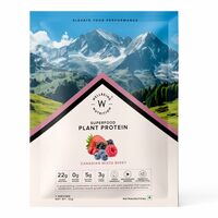 Wellbeing Nutrition Organic Vegan Plant Protein Isolate| 22g Protein, 5g BCAA, 3B CFU Probiotics, Digest Enzymes, 3g Fiber, 5 Alkalizing Greens| NO Bloating, Easy to Digest