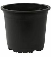 Leafy Tales Plastic Pots, Black 4 Inch Size 15 Piece, Small