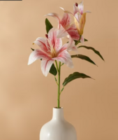  Upto 76% off on Plants and Flowers