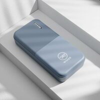 Wings Power Bolt 20000mAh, 12W Powerbank Fast Charging