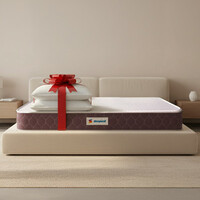 Sleepwell Orthopedic, Anti Microbial, Medium Firm Support with 2 Huggs Classic Pillows, 6 inch King Memory Foam Mattress