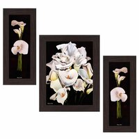 Wens 'Queens Sanctuary' Wall Art (MDF, 30 cm x 34 cm x 1.5 cm, WSP-4207)