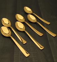(Set of 6) Stainless Steel Dessert Spoon (Gold)