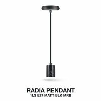 Havells Radia Pendant 1LS E27MattBLK MRB
