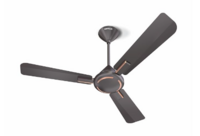 Havells Ambrose Es Ceiling Fan 1200Mm Energy Saving Decorative Fan 100% Pure Copper Motor