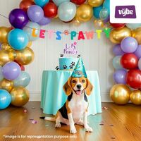 Let's Vybe Pets Birthday Decoration Kit (29pcs) (Maybe Location Specific)