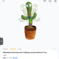 blinkit-Wembley Dancing and Talking Cactus Musical Toy Available Gurgaon check yours 
