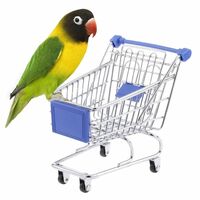 Sage Square Miniature Shopping Trolley for Birds: Engaging Play & Enrichment, Durable, Cage Accessory, Entertainment, Fun & Interactive Play Toy for Budgies, Parrot, Love Birds (Random Colour)