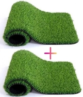 Artificial grass door mat pack of 2 ( medium)