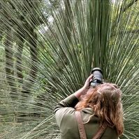 Chemicloud - Black Friday Sale: Save up to 84% on Hosting