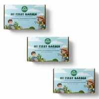 Zepto : TrustBasket My First Garden Kit | Microgreens Gardening Starter Kit for Kids