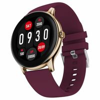 Fire-Boltt Phoenix Pro Smart Watch 1.39 inch Bluetooth Calling (Burgandy)