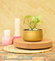 Pepperfry Mega Black Friday Deals : Upto 85% Off Led light, Desk Pot & more starting from ₹79