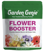 Bigbasket Gardening products upto 87% off [location specific]