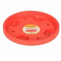 Zepto : Proclean Hard Plastic Gas Cylinder Trolley | 4 Rollers | Red
