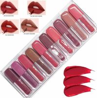  BROWN BLUSH Waterproof Super stay matte lip color liquid lipstick pack of 10 on Flipkart