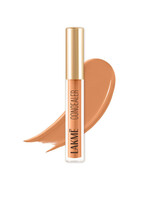 Buy Lakme 9to5 Powerplay Hydrating Priming Concealer With Built In Primer 5.4ml 30 Cinnamon - Concealer for Women 16091900 | Myntra
