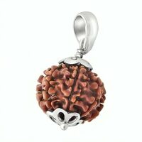 Natural 4 Mukhi Rudraksha