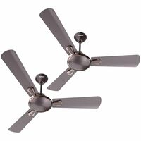 Havells 1200mm Festiva ES Ceiling Fan| Premium Finish|Energy Saving| Designer Fan for Home Decor|Elegant Look| 230 m³/min Air Delivery| Hi-Speed Low Noise|100% Copper Motor (Pack of 2, Espresso Brown)