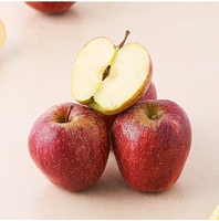 Fresho Shimla Apple (1 pc)
