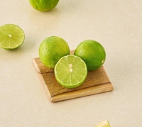 Fresho Lemon (3 pcs)
