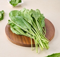 
Fresho Palak – Cleaned, Without Roots (250g)