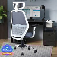 ASTRIDE Octave Office Chair 2D Headrest,Lumbar Support,Single Lock Mechanism,Chrome Base Mesh Office Adjustable Arm Chair (Grey, White, Optional Installation Available)