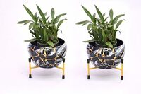 Amazon Brand - Solimo Tripod Stand | Set of 2 | Flower Design | Iron | Black