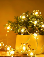 Myntra 12% off on 699 and 15% off on 1199