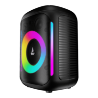 Lowest - boAt PartyPal 30 w/ 25W Powerful boAt Signature Sound, RGB LED's (Premium Black)