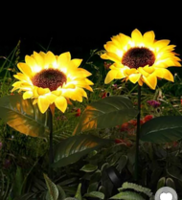 Pepperfry What The Fry Deals : Upto 80% Off on garden light, door mat & more starting from ₹99