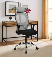 Akira High Back Breathable Mesh Ergonomic Chair with Adjustable Lumbar Support in Grey Color