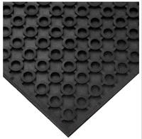 Floor Mat - Rs 44