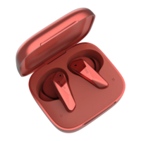 Noise Buds N2 Pro Truly Wireless Buds 