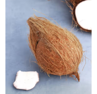  Coconut (Tenkaya) 2 pcs @19