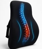 Memory Foam Lumbar Back Support Cushion